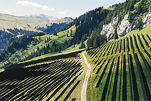 Elveţienii au respins prin referendum unul din cele mai mari parcuri fotovoltaice, care trebuia amplasat pe păşunile din Alpi