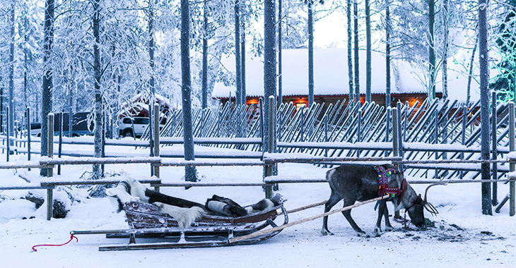 I-am găsit renii lui Moş Crăciun în Laponia! Acum cele două automobile expediţionale pot porni spre casă!
