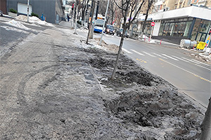 (FOTO) Cum arată trotuarele amenajate cu zone verzi din Chişinău, după zăpezi şi sărbătorile de iarnă