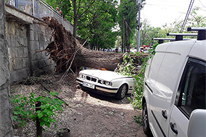 La scurt timp după ce primarul Chişinăului a vizitat un târg, în preajma acestuia un copac s-a prăbuşit şi a aplatizat un BMW Seria 5