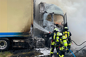 Pedepse şi amenzi pentru 12 şoferi din Germania, care au filmat un camion în flăcări pe autostradă şi n-au acordat ajutor