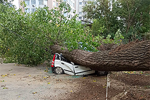 Un Fiat Panda, complet aplatizat de un copac căzut în Chişinău, o Dacia Logan a avut şi ea de suferit