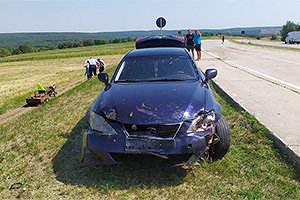 Un Lexus a spulberat o turmă de oi astăzi pe traseul M3 din Cimişlia, Moldova, 29 din ele pierind