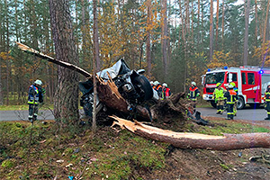Accidentul unui Hyundai Ioniq 6 electric din Germania, în care acesta a doborât din plin un copac, arată cât de mult a evoluat ingineria maşinilor electrice