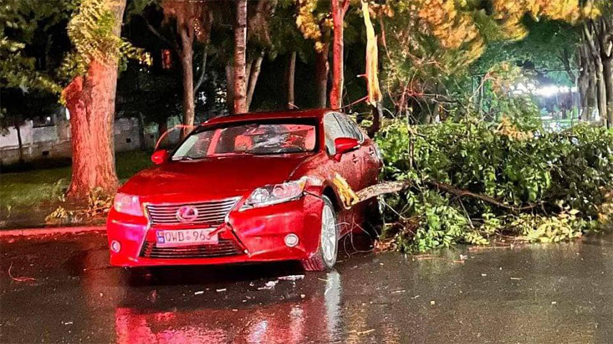 (FOTO) Furtuna de astă noapte din Chişinău a rupt zeci copaci din rădăcină şi mii de crengi, avariind maşini şi fire electrice